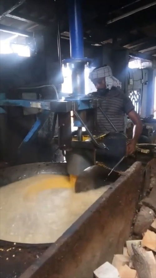 印度的油炸食品加工廠,一鍋油能炸2000斤食品,這產量太高了