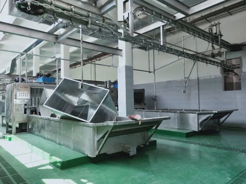 這個(gè)a級(jí)畜禽屠宰加工廠即將投產(chǎn) 產(chǎn)品將銷往全國各地